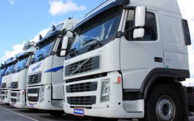 Automobile Lemon Laws – A Means To Protect Consumer Rights